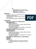 KIRÁLY    VIOLA CV.docx