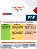 contextualizacincurricularPCIE.pdf