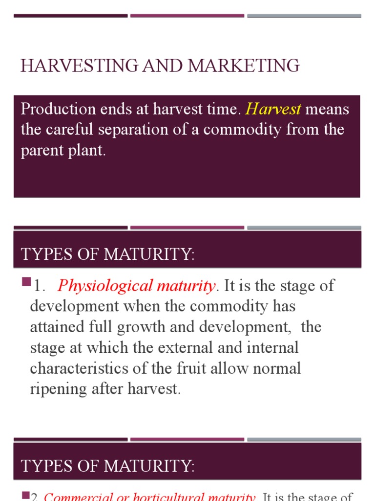Harvesting and Marketing PDF Harvest Vegetables