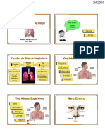 Sistema-Respiratório.pdf