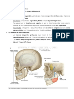 Fosa Temporal Infratemporal, Atm y Pterigopalatina