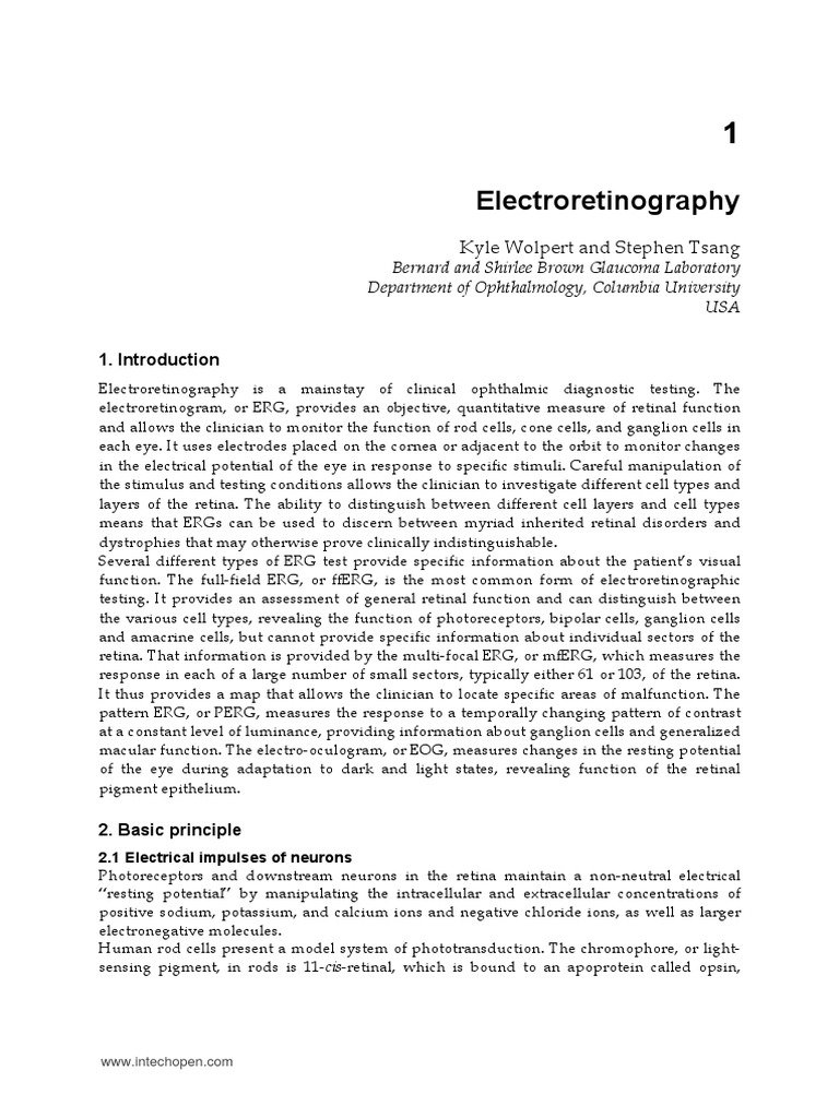 Erg Final PDF | PDF