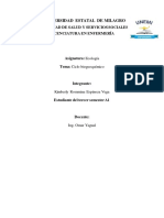 Lixiviados PDF