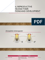 Animal-Reproductive-organs-and-their-functions-and-development.pdf