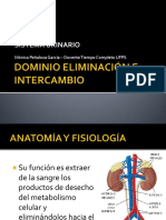 2. SISTEMA URINARIO.pdf