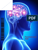 Revista Psicomotricidad PDF