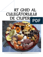 Ghid Ciuperci-SCURT.pdf