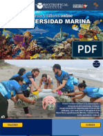 Cursos Online - Biodiversidad Marina PDF
