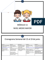 Modulo N° 11 PED. MMayor PDF