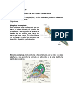 Clases de Sistemas Digestivos 1