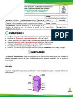 1P Gua 6 Poliedros Irregulares - Prismas PDF
