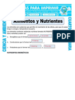 Trabajo de Alimentos y Nutrientes de Luisa Maria Aldana Alarcon 4-1