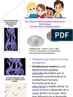 Microorganismos Que Causan La Formación de Caries