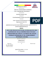 Rapport en Cour de Correction PDF