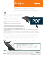 La Historia de Los Delfines - COLOR (17504) PDF
