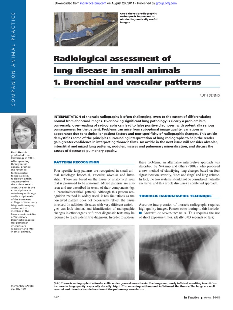 Radiological Assessment of Lung Disease in Small Animals 1. Bronchial ...