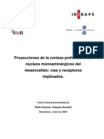 Proyecciones de la corteza prefrontal.pdf