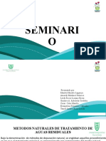 SEMINARIO DE SISTEMAS DE TRATAMIENTOS NATURALES diapositivas (1)
