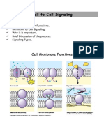 Cell To Cell Signaling