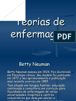 Teorias de Enfermagem BETTY NEUMAN