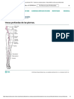 Trombosis Venosa Profunda (TVP) - Trastornos Cardiovasculares - Manual MSD Versión para Profesionales PDF