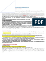 revisão - grupos.pdf