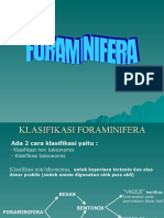 Foraminifera