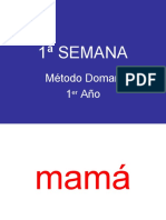 Doman Semana1 131110143007 Phpapp02 PDF