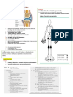 OSTEOARTRITIS