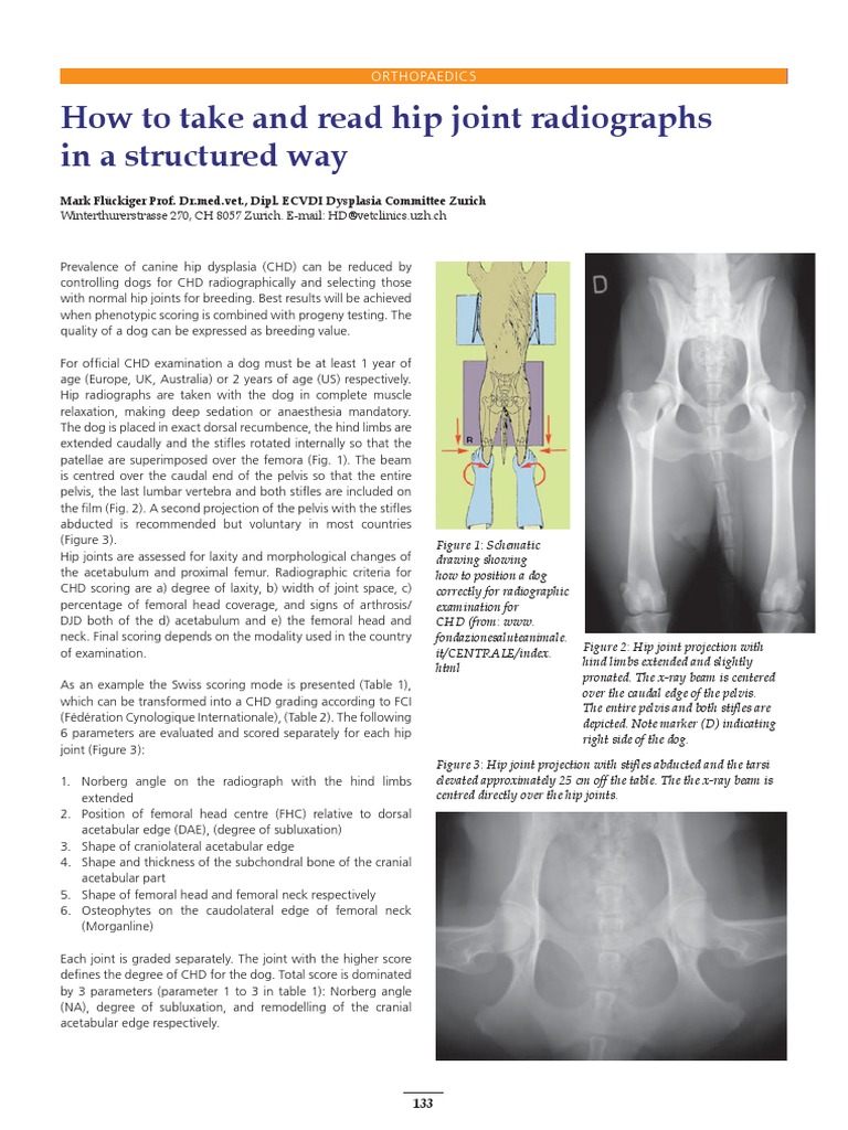 How To Take and Read Hip Joint Radiographs in A Structured Way | PDF ...
