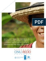 UNDP RBLAC MapeoActoresEstrategiaREDD+CO PDF