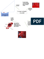 Mapa Mental La Sangre Un Liquido o Un Coloide