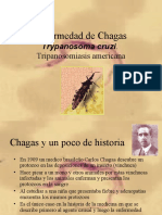 18 Chagas - Trypanosoma - Cruzi