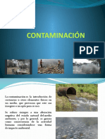 Contaminación ambiental: causas y efectos