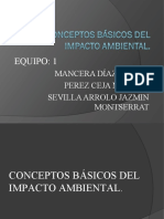 Conceptos Básicos Del Impacto Ambiental