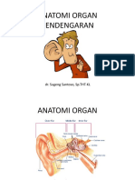 ANATOMI ORGAN PENDENGARAN2.ppsx