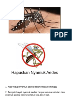 Kitar Nyamuk Aedes