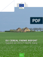 raport-ferme-cereale-RICA2017.pdf
