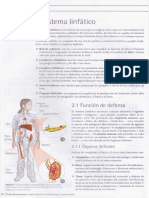 Sistema Linfatico y Enfermedades Cardiovasculares