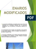 Escenarios Modificados