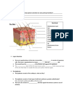 Functions of the Integumentary System