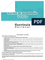 Matriz de Desempeño V Ciclo Primaria