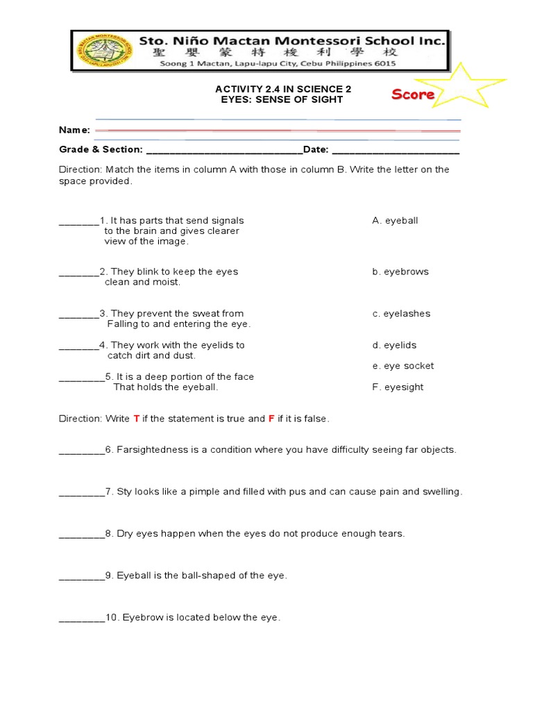 Activity 2.4 in Science 2 Eyes: Sense of Sight | PDF