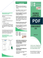 Triptico Del Instructivo de LFPE 1