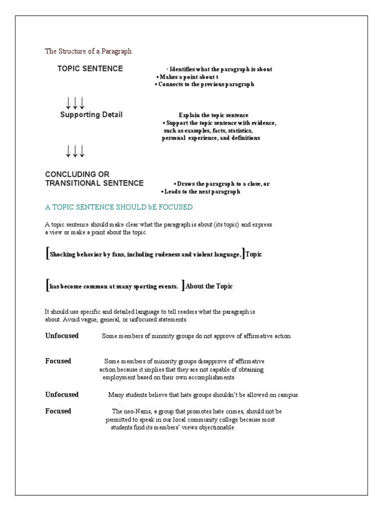 Understanding Paragraph Structure | PDF | Retail | E Commerce
