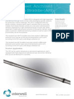 INTERWELL Anchored Production Straddle Product Sheet