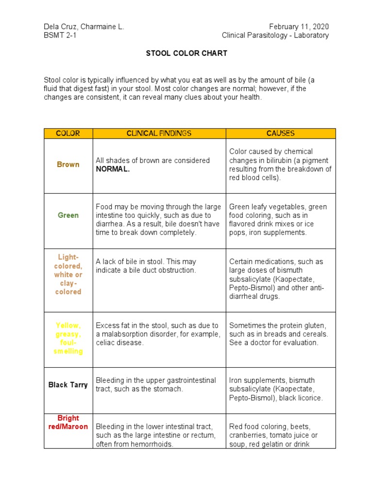 Stool Color & Bristol Stool Chart Guide | PDF | Bile | Diarrhea