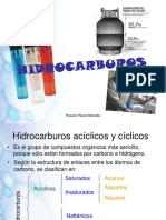 Hidrocarburos 110705081337 Phpapp02 PDF