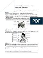 Respiratory and Circulatory System Activities