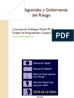 01 PLAGUICIDAS Y GOBERNANZA DEL RIESGO.pdf